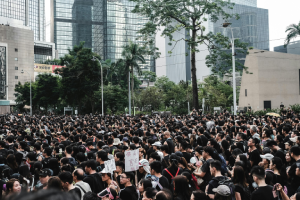 Banner image